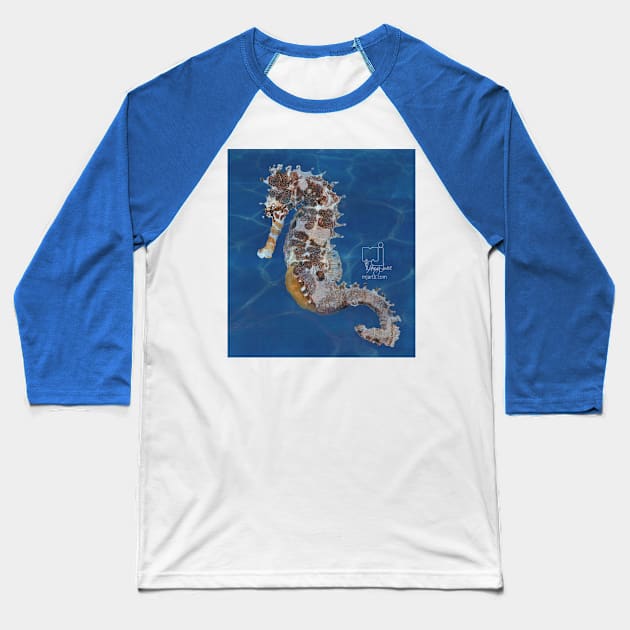 sea horse Baseball T-Shirt by mjartscom